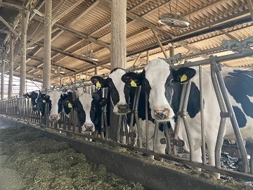 株式会社ブッチーファーム-2