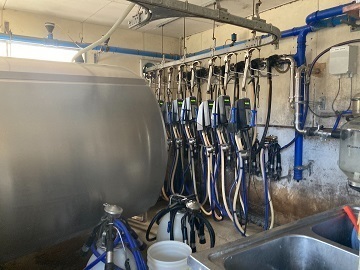 株式会社ブッチーファーム-3