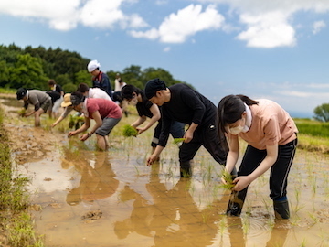 新潟県上越市 おためし農業体験-Top