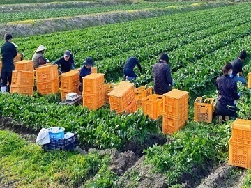 茨木牧場-top
