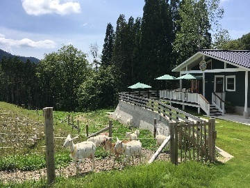 MAUKA LANI GOAT FARM-top