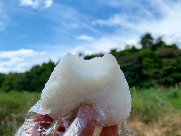 ひょうたん農場株式会社-1