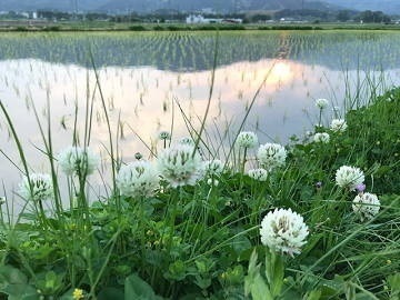 ひょうたん農場株式会社-2