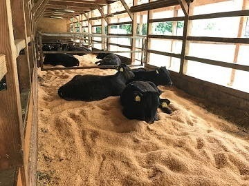 ひょうたん農場株式会社-3