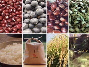 ひょうたん農場株式会社-6