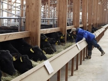 キロサ牧場(有限会社キロサ肉畜生産センター)-4