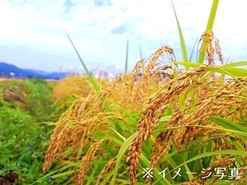 宮城県大崎市×稲作・野菜/法人【34684】-top