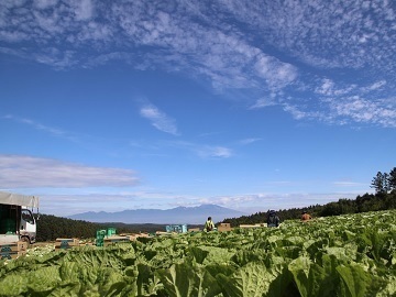 あさひや農場-top