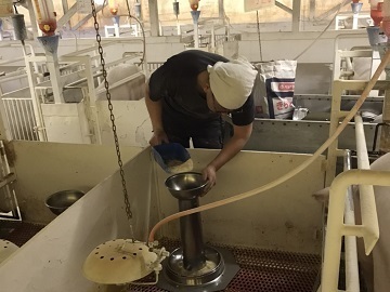 有限会社前原兄弟畜産-2