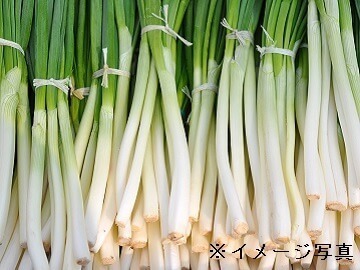 矢吹農園-1