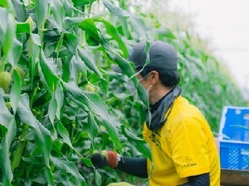 いなます農園-3