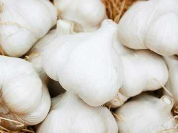 有限会社奈良岡ファーム-2