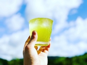 鹿児島県日置市×お茶/法人【34816】-top