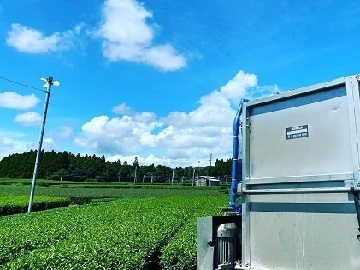 鹿児島県日置市×お茶/法人【34816】-1