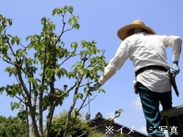 埼玉県さいたま市×植木/法人【34847】-top