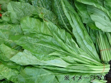栃木県小山市×営業/法人【34836】-top