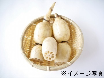 佐賀県白石町×露地野菜/法人【34848】-top