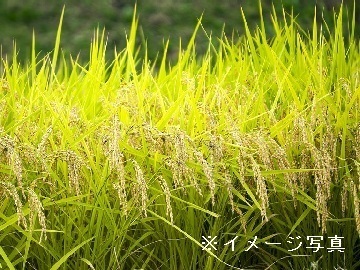 兵庫県相生市×稲作/畑作/個人【34876】-top