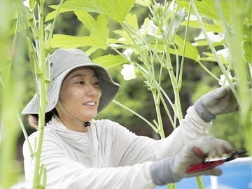 愛知県田原市・東栄町×水稲・露地野菜/法人【34905】-top