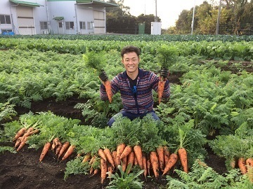 イチバリキファーム-top