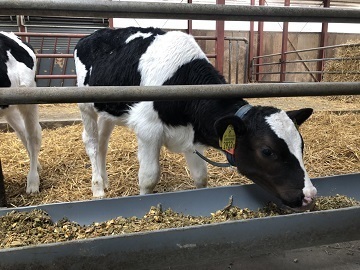 ウエイトレスネス株式会社-2