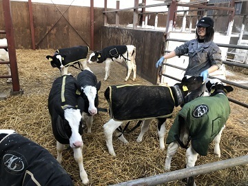 ウエイトレスネス株式会社-6