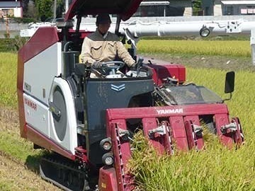熊本県宇城市×施設野菜・水稲/法人【34966】-top