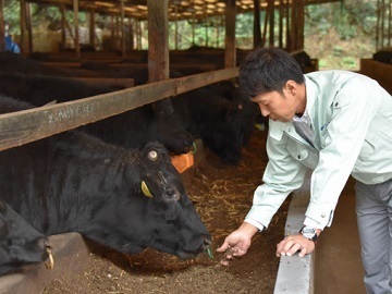 北海道浜中町・足寄町×肉牛/法人【34999】-top