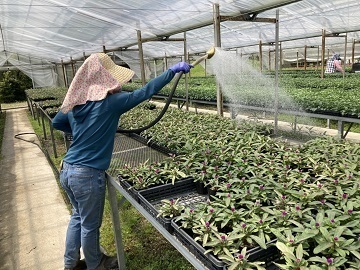 ファームみなみちた(株式会社フラワーロジテム)-3