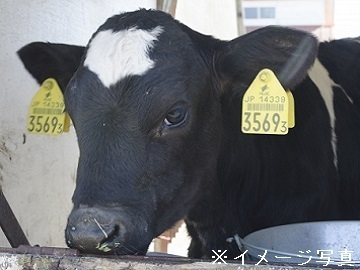 北海道紋別市×酪農/法人【34998】-1