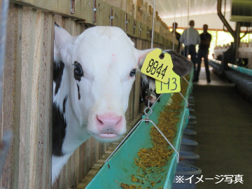 北海道稚内市×飼料製造・配送/法人【34985】-top