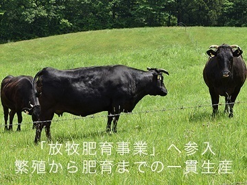 佐賀県鹿島市×肉牛/法人【35039】-top