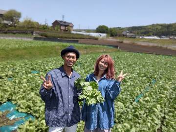 Double Ace Farm-2