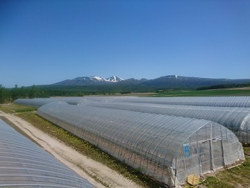 たかだ農園株式会社【北海道・埼玉県】-1