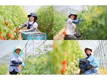 たかだ農園株式会社【北海道・埼玉県】-5