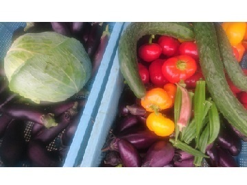 たかだ農園株式会社【北海道・埼玉県】-7