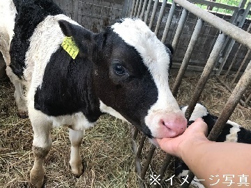 北海道紋別市×肉牛/法人【35120】-top