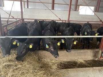 北海道足寄町×肉牛/法人【35126】-1