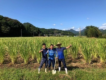 佐賀県武雄市×水稲・野菜/法人【35171】-top