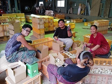 株式会社ひかり農園-7