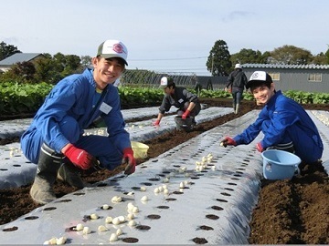 株式会社ひかり農園-1
