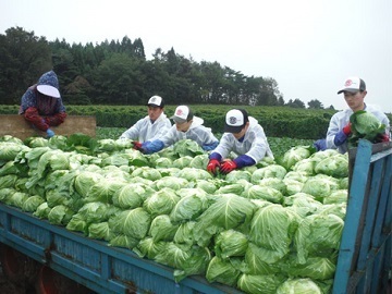 株式会社ひかり農園-4