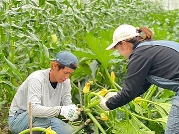 熊本県和水町×野菜・果樹/個人【35208】-top