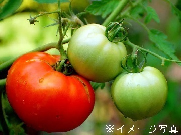 山形県川西町×施設/法人【35254】-top