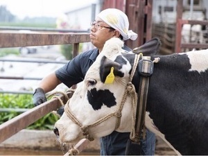 北海道大樹町×酪農/法人【35296】-top