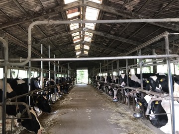 株式会社I Love Milk牧場-1