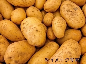 北海道倶知安町×露地野菜/法人【35375】-top