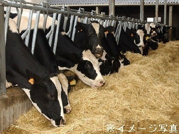 岐阜県関市×酪農・肉牛/個人【35376】-1