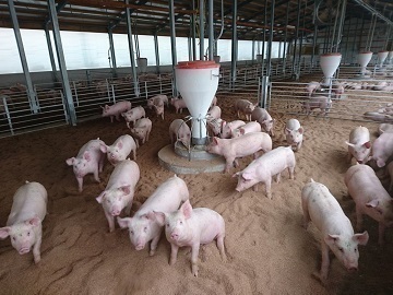 株式会社ポーク-3