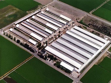 株式会社ポーク-4